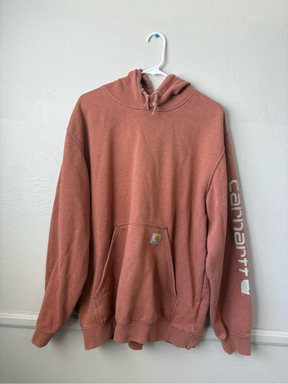Carhartt Men's Hoodie in Faded Terracotta Rust